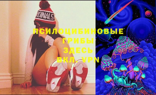 крисы Абинск