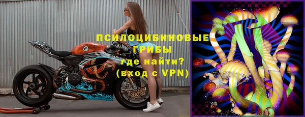трава Абаза